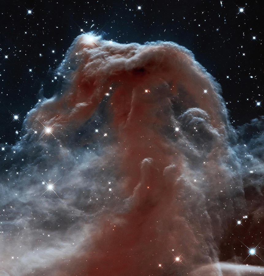 Horse Head Nebula. Photograph by Roy Pedersen
