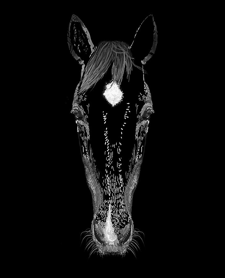 Horse Head Out Of The Shadows Drawing by Joan Stratton