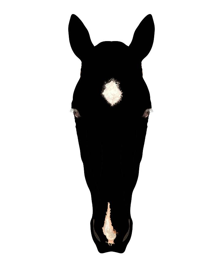 Horse Head Silhouette With Blaze Black on White Drawing by Joan Stratton