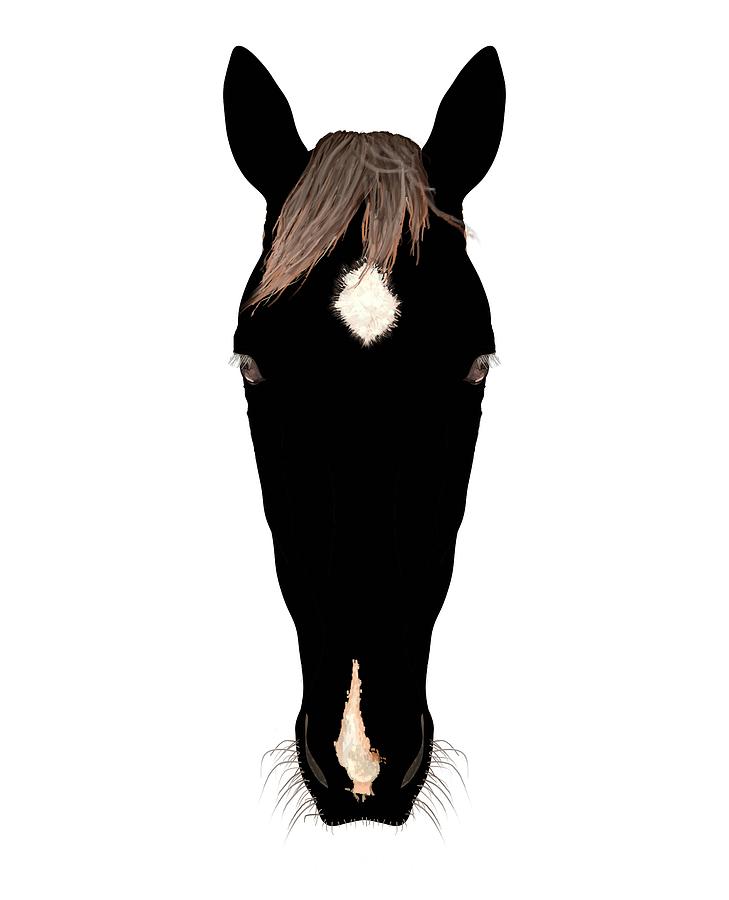 Horse Head Silhouette With Facial Markings Drawing by Joan Stratton