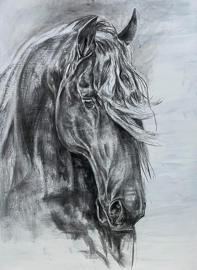 Horse Head Study Drawing by Maggie Slepian - Fine Art America