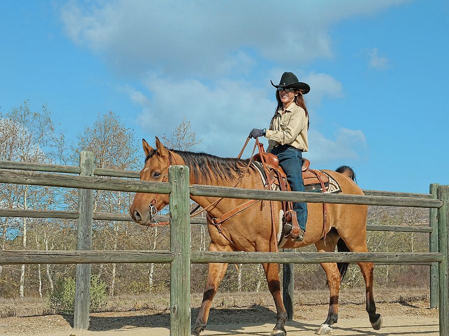 Horse Heritage Photograph by Dean Angelico - Fine Art America