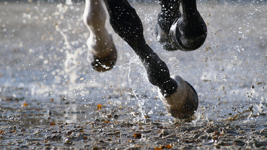 Horse hooves striking wet ground Photograph by Simonkr