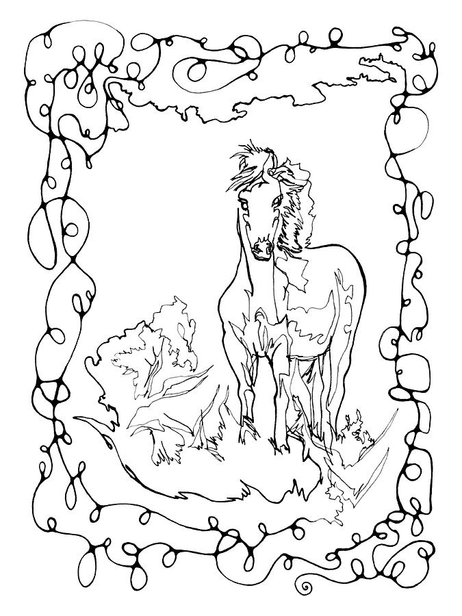 Horse in Contour and Neurolines Drawing by Katherine Nutt