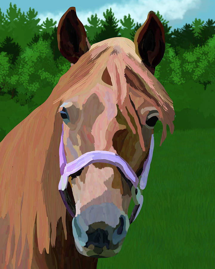 Horse In Pasture Digital Art