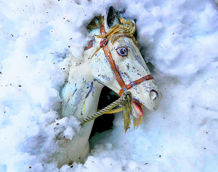 Horse in Snow Photograph by Neil Pankler