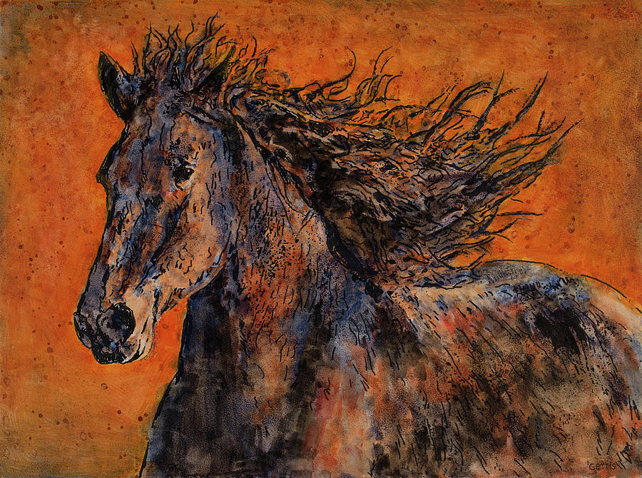 Horse In Sunset Mixed Media