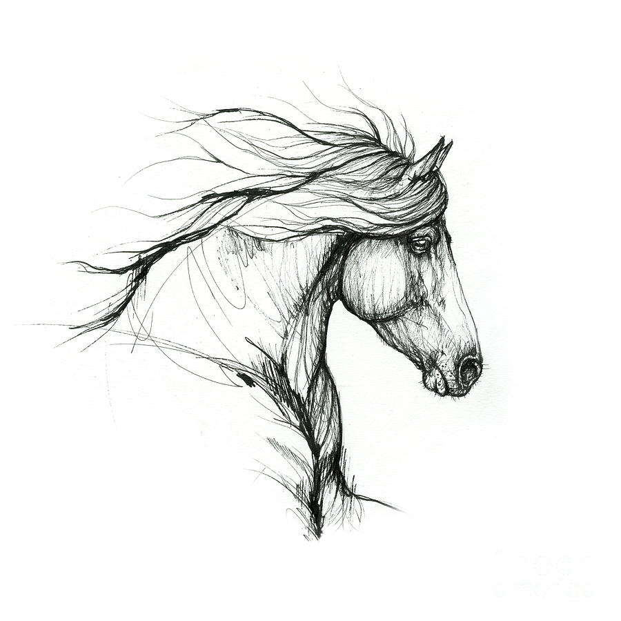 Horse ink art 2019 09 31 Drawing by Ang El