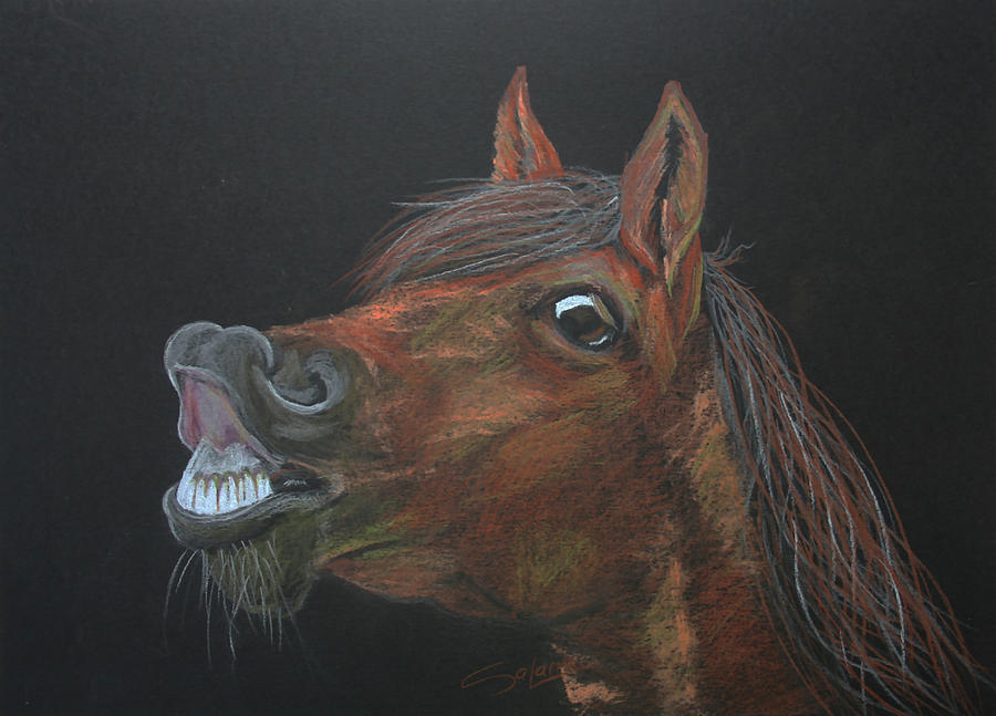 Horse IV Drawing by Svetlana Samovarova