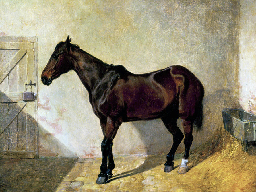 Animal Painting - Horse by John Frederick Herring