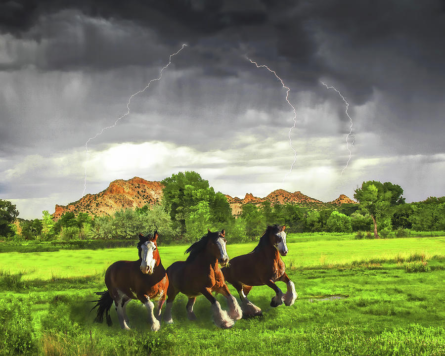 Horse Lightning Photograph by Don Schimmel