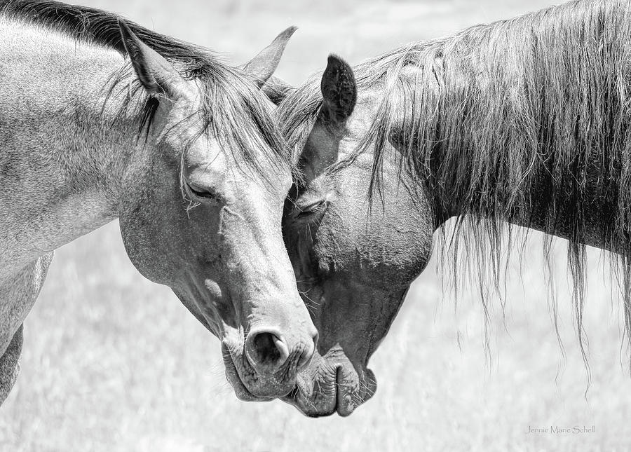Horse Love Black and White Monochrome Photograph by Jennie Marie Schell