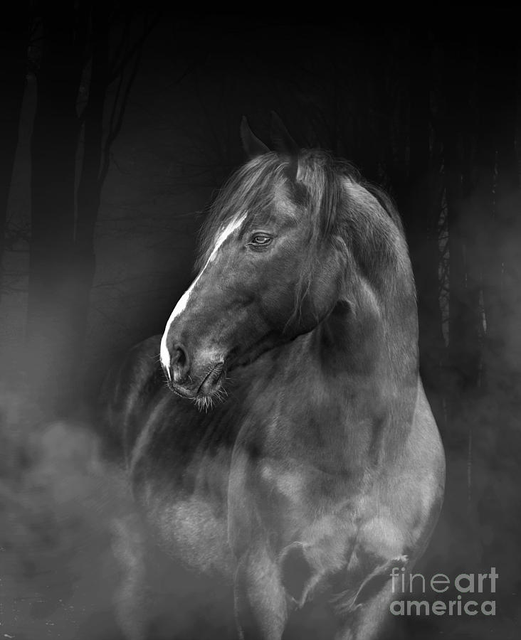 Abstract Pyrography - Horse Midnight  by Mark Ashkenazi