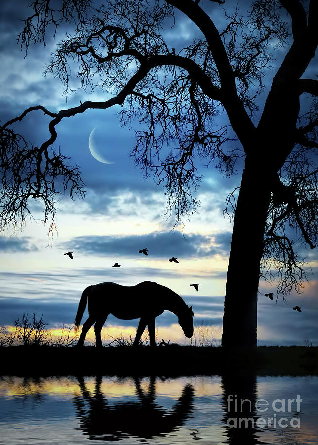 Horse Oak Tree and Moon Beautiful Blues Reflected in Water Photograph by Stephanie Laird