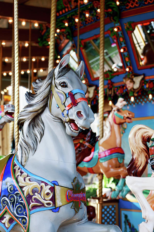 Horse on the 1923 Dentzel Carousel at the Texas State Fair Photograph by David Ilzhoefer