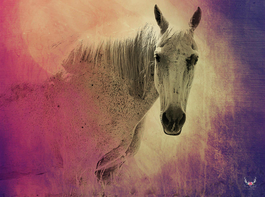Horse Pastels Photograph by Pam Rendall