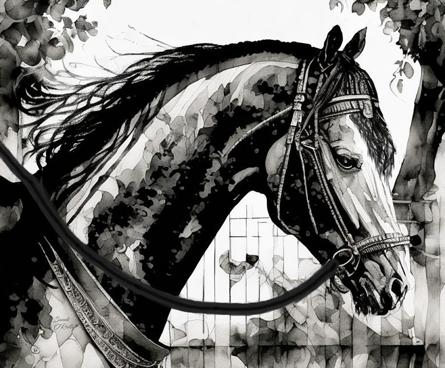 Horse Portrait Black And White 2 Mixed Media by Sandi OReilly