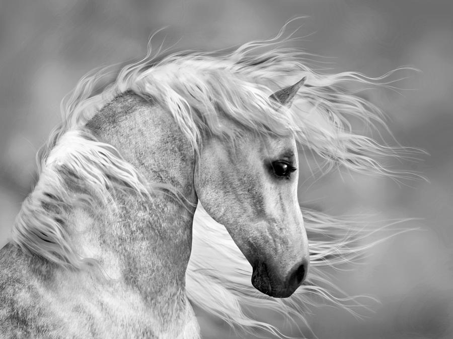 Horse Portrait - black and white Digital Art by Steve Ladner