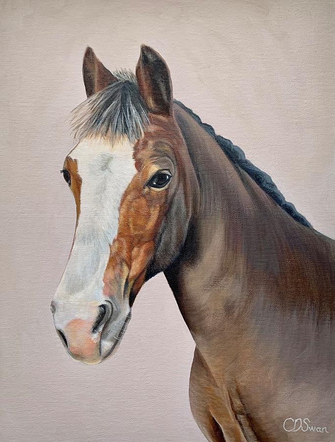 Horse Portrait Painting by Caroline Swan