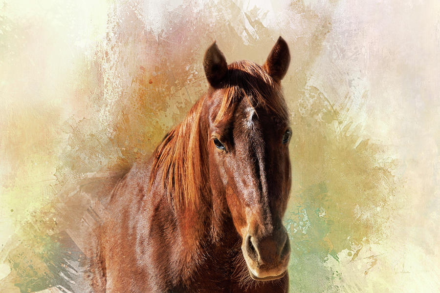 Horse Portrait Digital Art by Terry Davis
