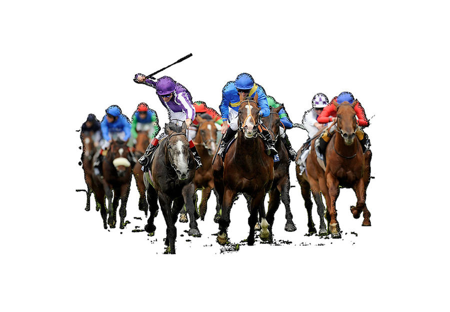 Horse Race Digital Art by Ahmed El bidaoui - Fine Art America