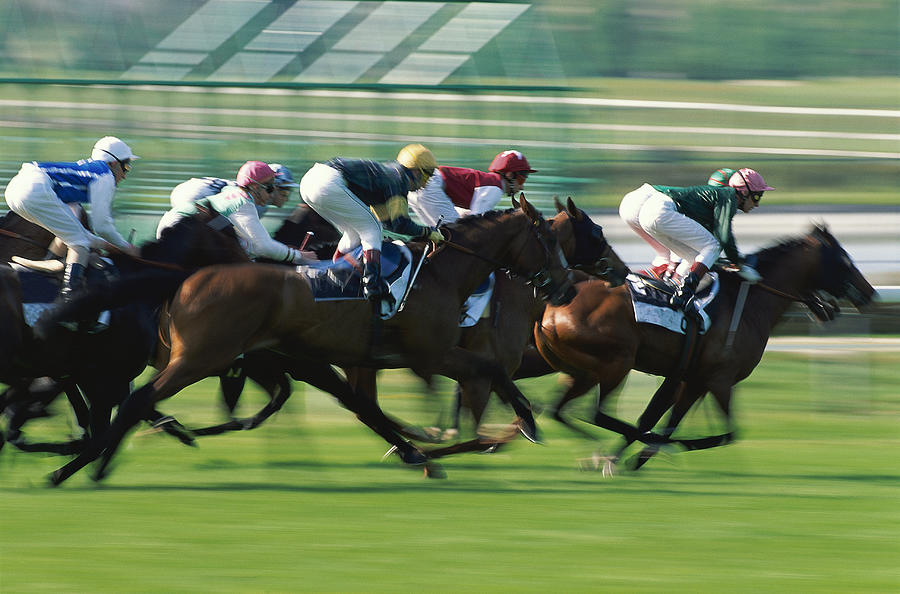 Horse race onturf, side view Photograph by Martial Colomb