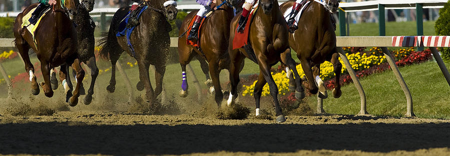 Horse Racing Photograph by Cmannphoto