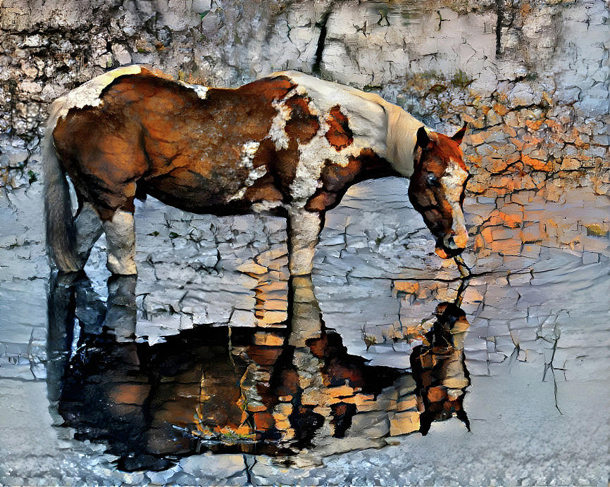 Horse reflection 2 Photograph by Bob McDonnell
