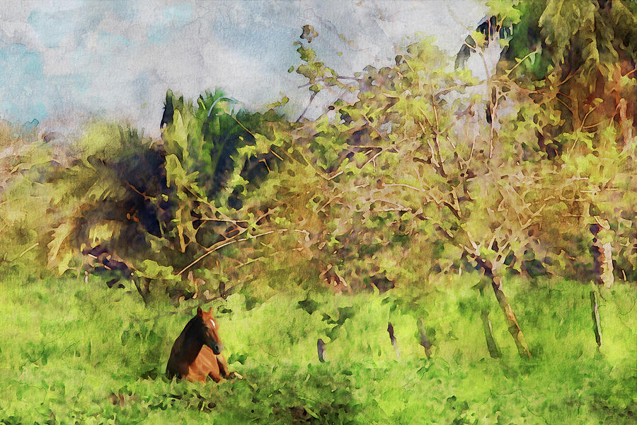 Horse Resting in Costa Rica Mixed Media by Peggy Collins