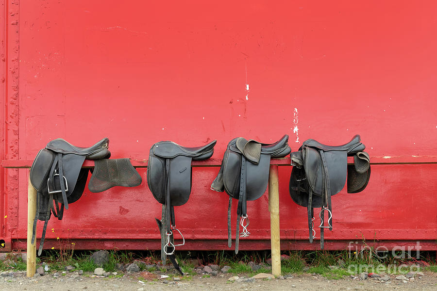 Horse saddles Photograph by Delphimages Photo Creations