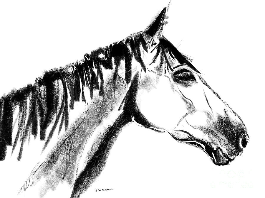 Horse Sanne Painting by Go Van Kampen