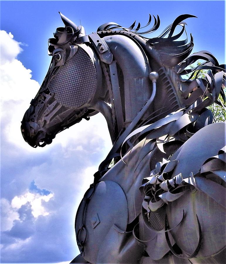 Horse Sculpture Photograph by Lydia Williams - Fine Art America