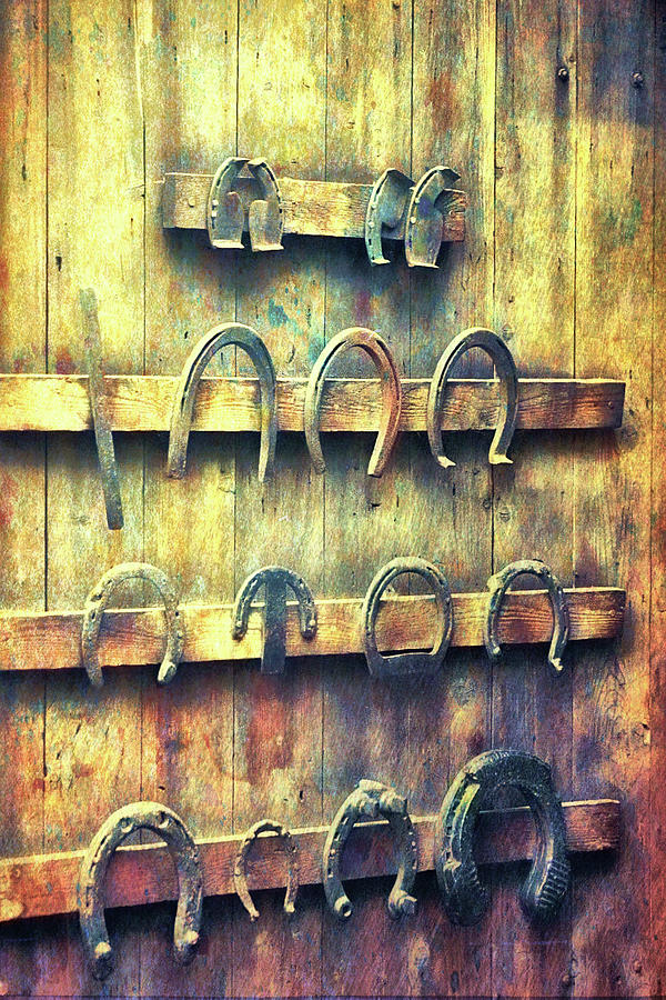 Horse Photograph - Horse Shoes by Jamart Photography