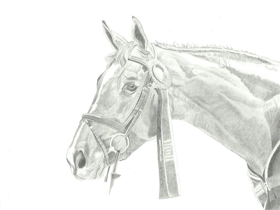 Horse Show Champion Drawing by Paula Anastasi-Buehler - Fine Art America