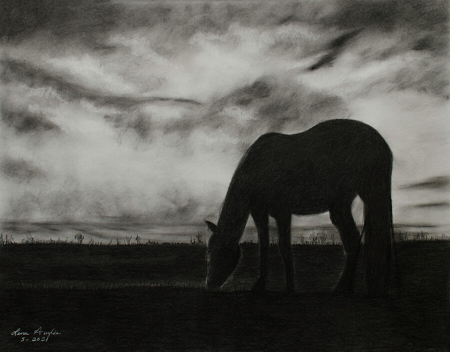 Horse Silhouette Drawing by Lena Auxier