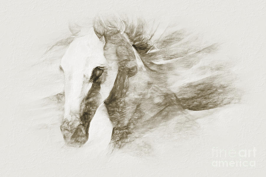 Horse sketch art 03 Painting by Gull G