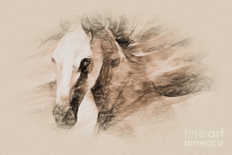 Horse Sketch Art Painting