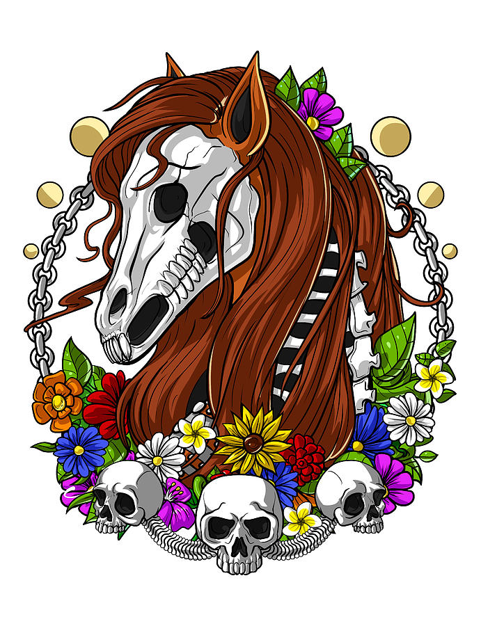 horse skull drawing