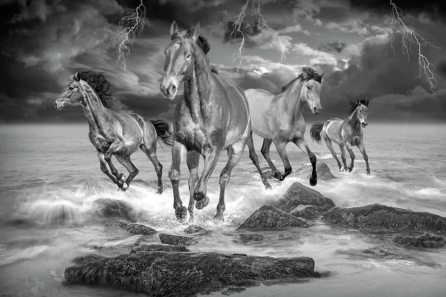 Horse Stampede in the Surf in Black and White during a Thunder a ...