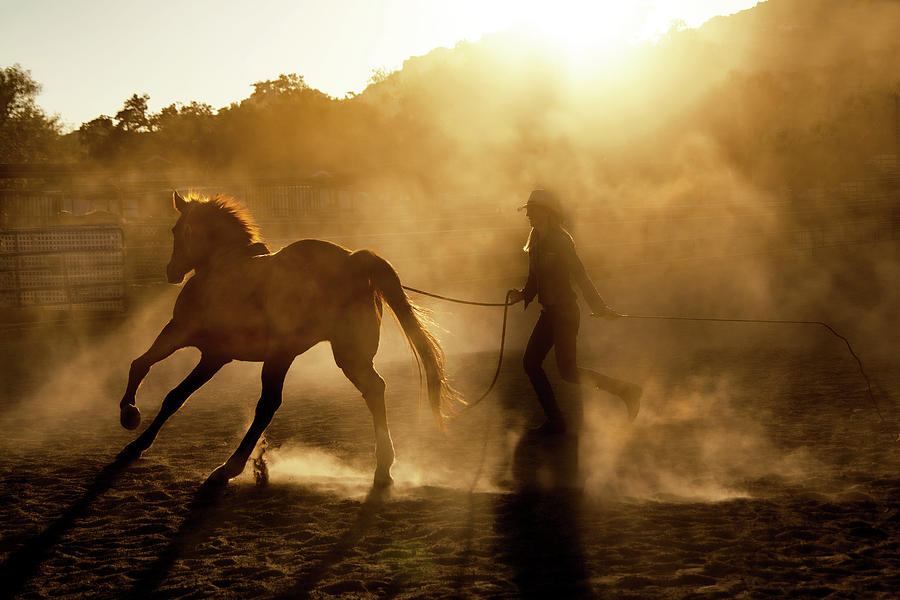 Horse Trainer Photograph by Jerry Cowart