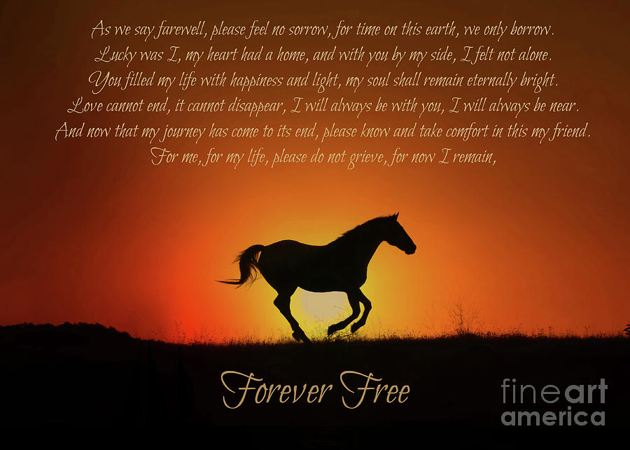 Horse Tribute Memorial Original Spiritual Sympathy Poem  Photograph by Stephanie Laird