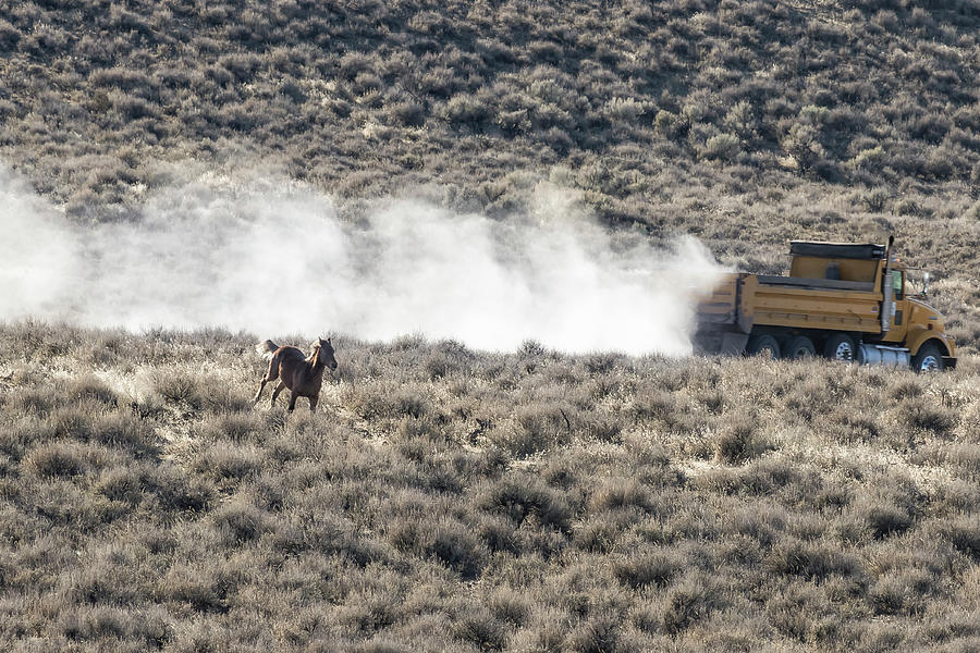 Horse vs Truck on Public Lands Photograph by Belinda Greb