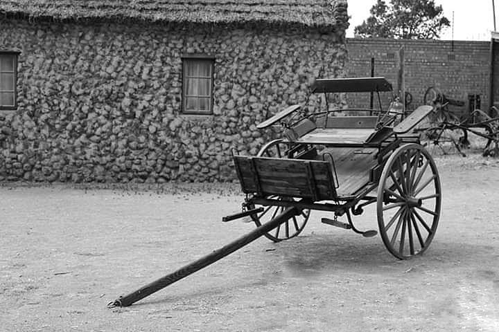 Horse wagon Photograph by Nienke Nortje New - Fine Art America