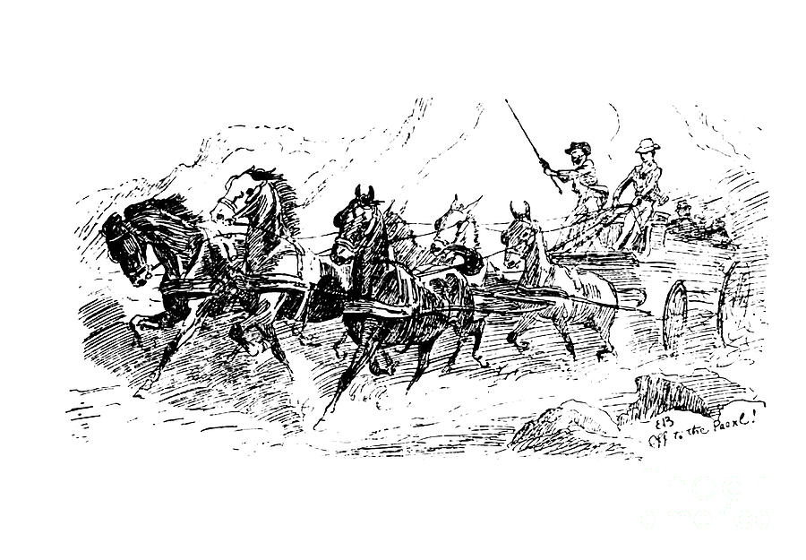 Horse wagon p2 Drawing by Historic Illustrations