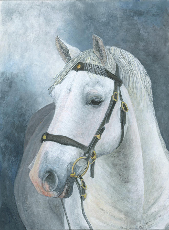 Horse with Bridle Mixed Media by Sandy Clift