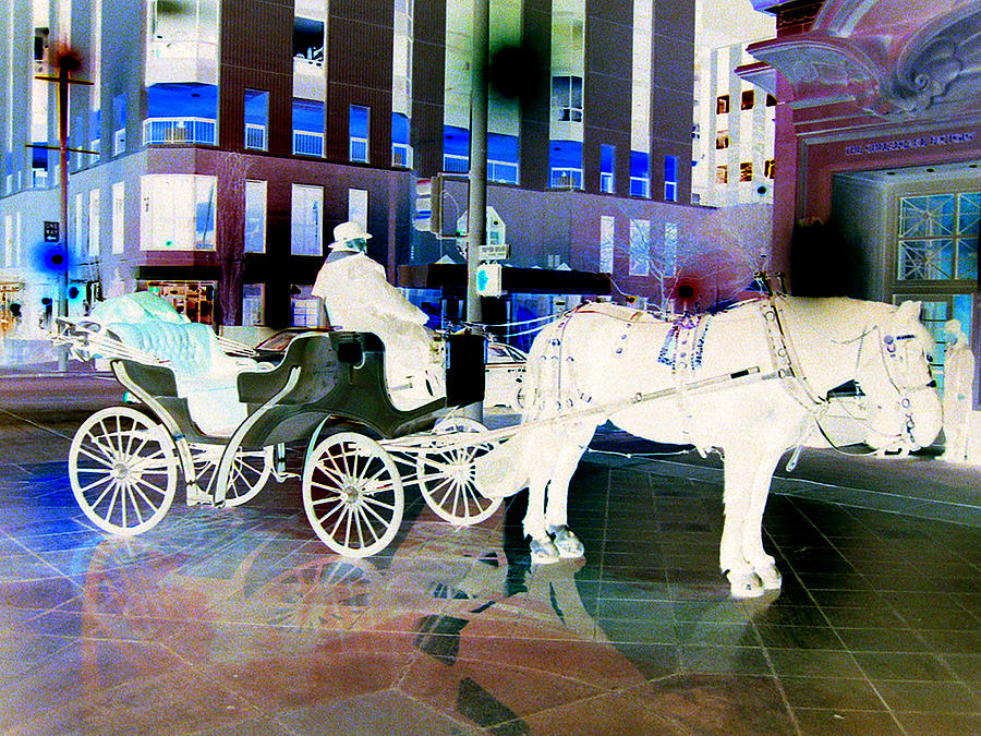 Horse With Carriage Photograph