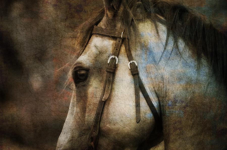 Horse Digital Art - Horse With No Name  by Paul Lovering