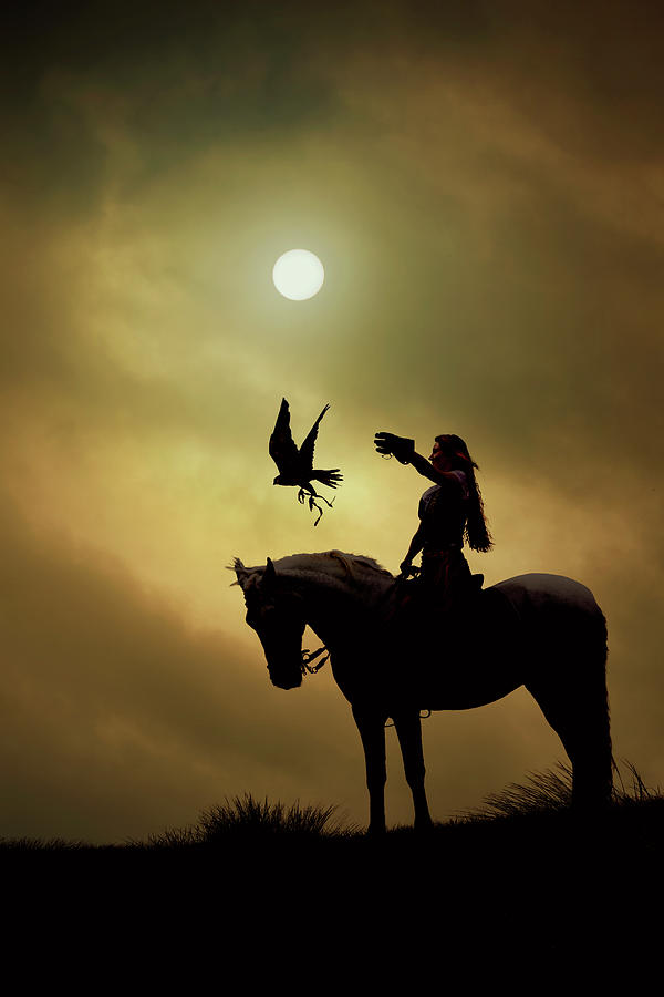 Horseback Falconry Photograph by Maggie Mccall