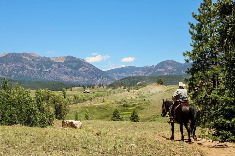 Horseback Rider along Piedra River Trail Photograph by Dawn Richards