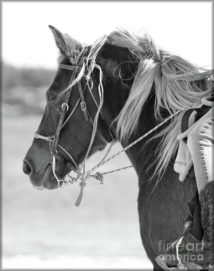 Horseback Riding at Popham Beach Photograph by Sandra Huston